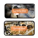 FarmGuard Solar 4K Camera System - Image 3